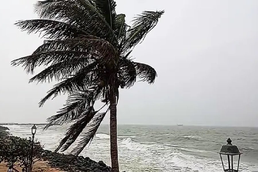 Cyclone Ditwah: तटीय राज्यों में भारी बारिश का रेड अलर्टजारी; तमिलनाडुमें 3 की मौत